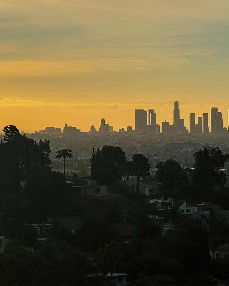 A silhouetted view of a city skyline at sunset with a mix of tall skyscrapers and smaller buildings. The sky is painted in shades of yellow and orange, and dark trees are visible in the foreground. Soft, diffused light creates a serene, picturesque atmosphere.