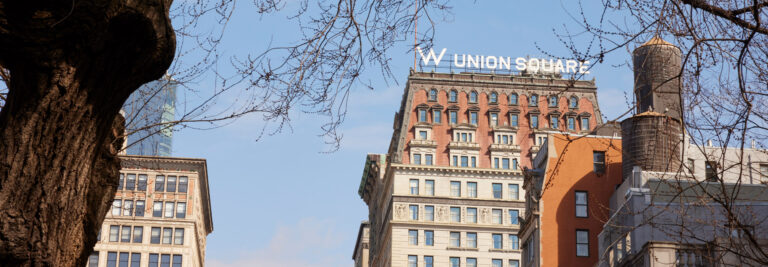 View of union square buildings with prominent signage, framed by tree branches under a clear sky.