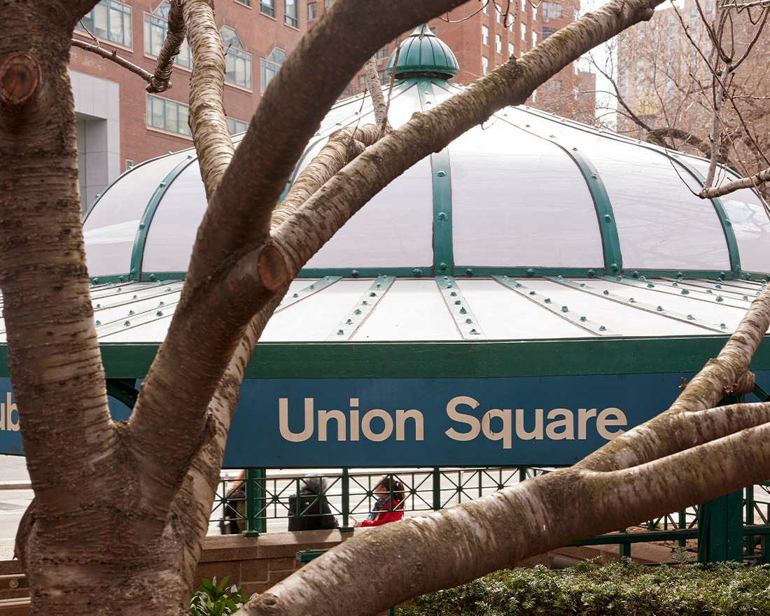 View of union square station entrance through tree branches, featuring a prominent green dome with 