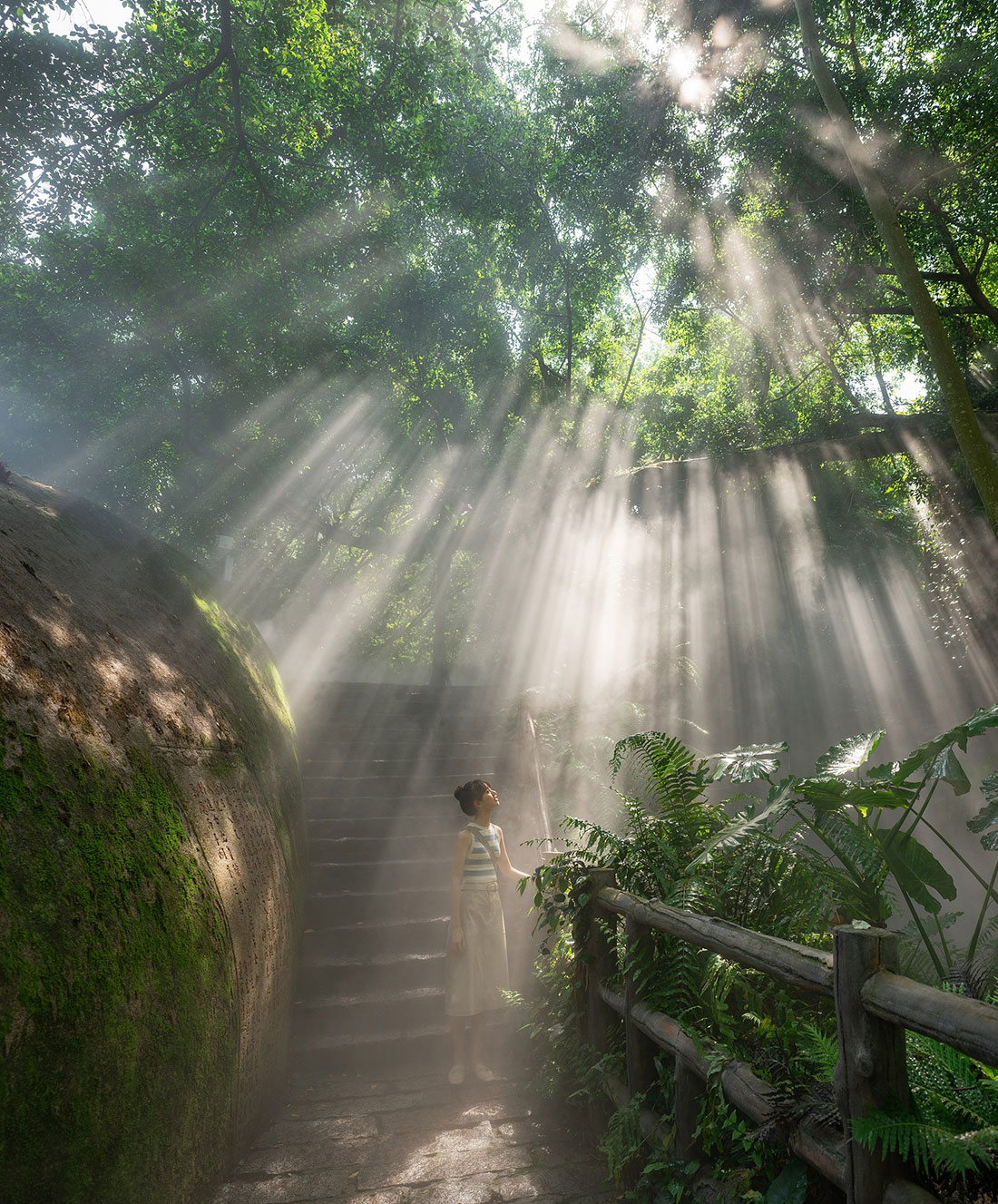 Une personne se tient sur des marches de pierre dans une forêt, entourée de verdure luxuriante et de fougères. La lumière du soleil traverse la canopée, créant des rayons spectaculaires. La scène est sereine et mystique, avec un mur de pierre et une balustrade en bois visibles.