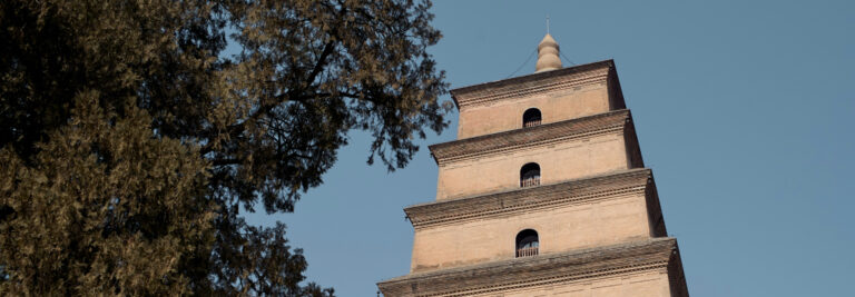 The image shows the upper part of a tall, ancient pagoda with a tiered structure. The pagoda is made of brownish, stone-like material and there is a large tree with green foliage to the left, set against a clear blue sky.