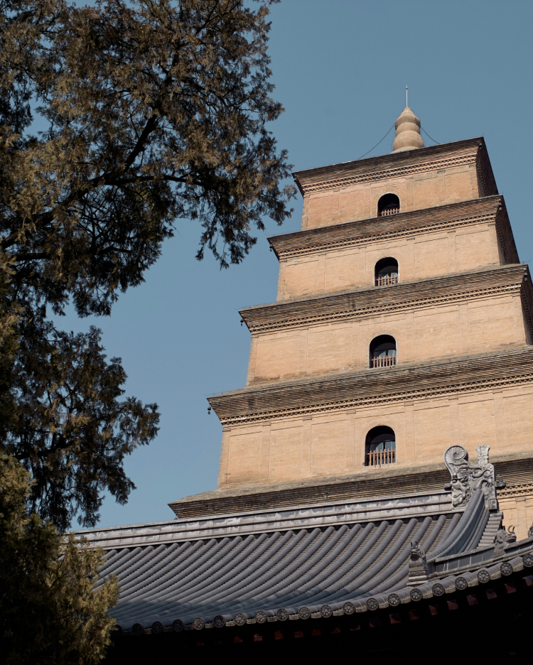 An ancient multi-story brick pagoda with a pointed roof stands against a clear blue sky. The foreground features traditional Chinese architecture with a tiled roof, and a large tree extends its branches into the frame.