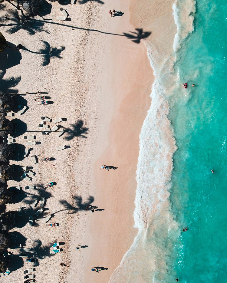 Aerial view of a tropical beach with turquoise water, waves on soft sand, people sunbathing and swimming, and tall palm tree shadows stretching across the shore.
